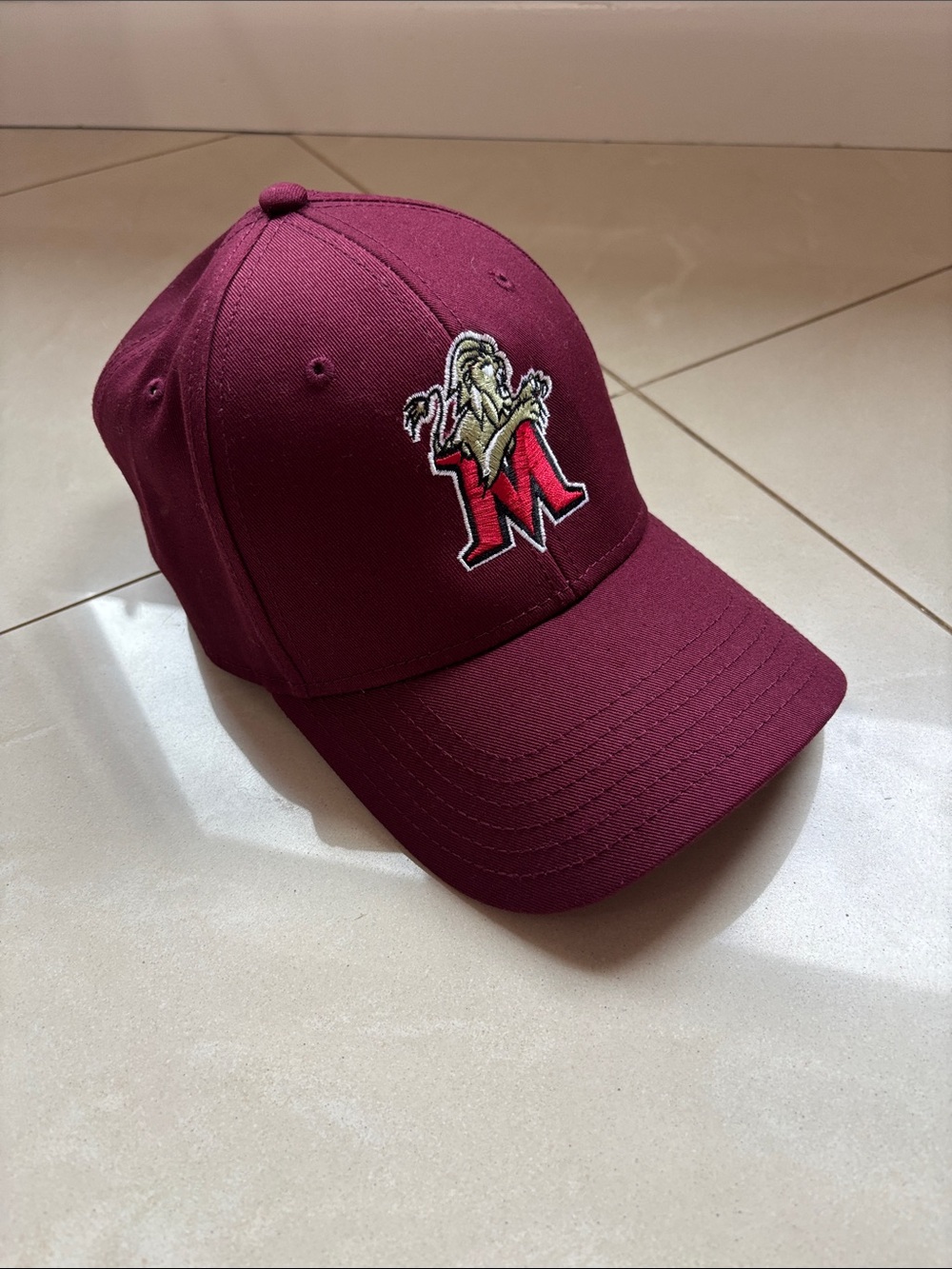 Molloy University College Baseball Cap Hat